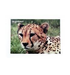 LOT 96 IMAGES EN PLANCHE 6X8CM 2