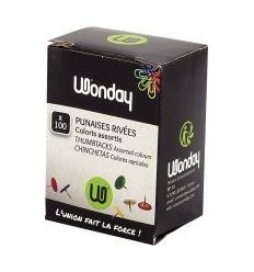 BTE 100 PUNAISE TETE COULEUR