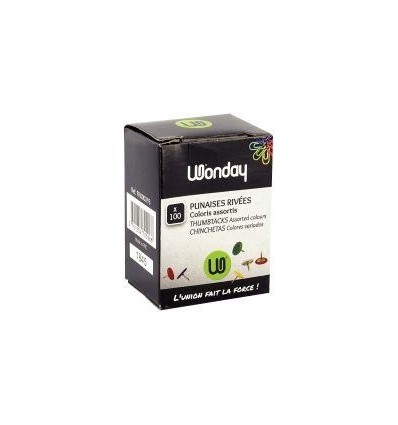 BTE 100 PUNAISE TETE COULEUR