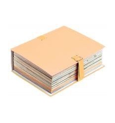 CHEM EXT TOILEE MASTIC 2