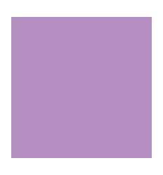 CLAS PP 4ANN D16 A4 LILAS