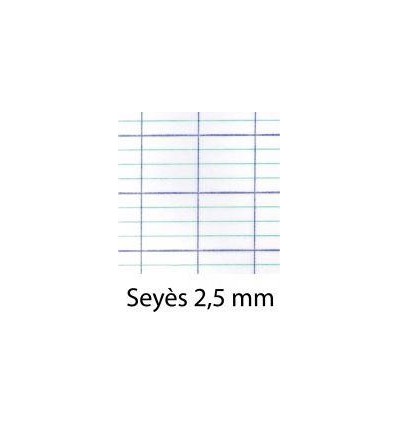 PIQ 32P COUV PP 17X22SEY2,5BLE