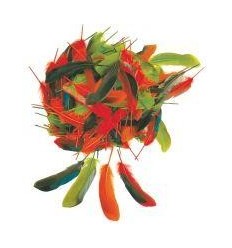 SACHET 15G PLUMES D'AUTOMNE