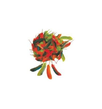 SACHET 15G PLUMES D'AUTOMNE