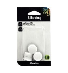 BL 6 PUNAISE MAGN D22 BLANC