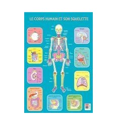 POSTER PVC 76X52 LE SQUELETTE 2