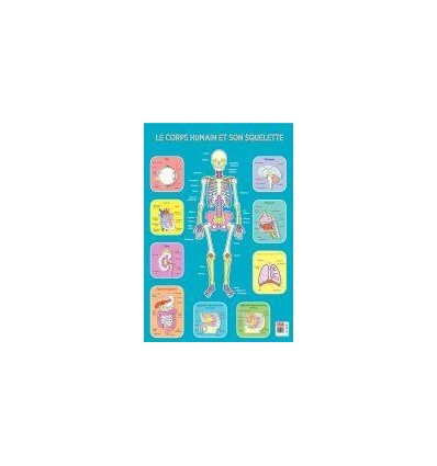 POSTER PVC 76X52 LE SQUELETTE