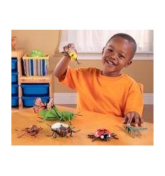 LOT 7 JUMBO INSECTES