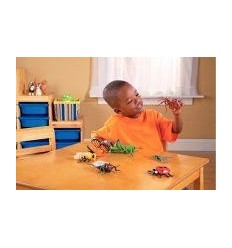 LOT 7 JUMBO INSECTES 2