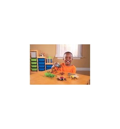 LOT 7 JUMBO INSECTES