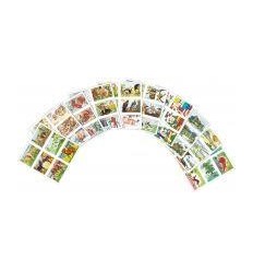 POCH 960 IMAGES 8,5X6CM ASS 2