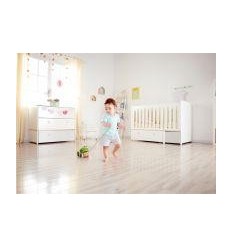 GRENOUILLE A PROMENER 2