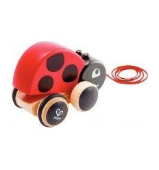 COCCINELLE A PROMENER