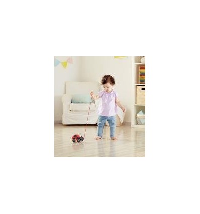 COCCINELLE A PROMENER