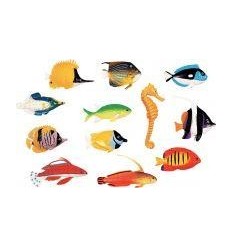 BARIL 60 POISSONS TROPICAUX 2