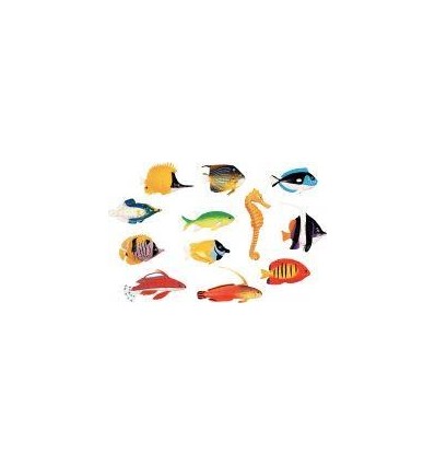 BARIL 60 POISSONS TROPICAUX