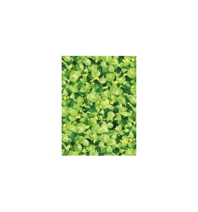 CLASSPACK 10X10F DECOPATCH ASS