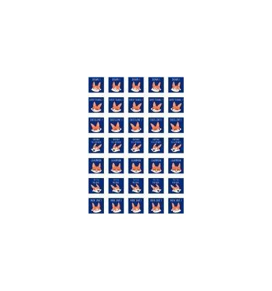 POCH 700 GOMMETTE APPRECIATION