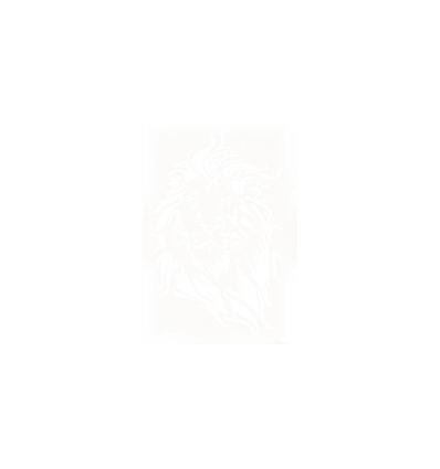 SAC 6POCHOIR ANIMO SAUVAGE A4