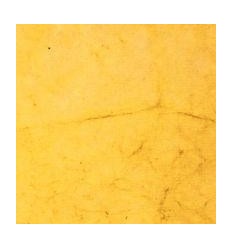 BLOC 20F PAPIER NATURE INDIA 2