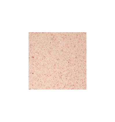 BLOC 20F PAPIER NATURE INDIA