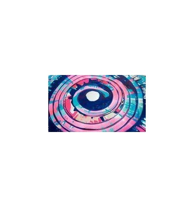 CENTRIFUGEUSE PEINTURE BOIS