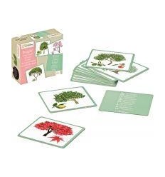 IMAGIER MULTILINGUE ARBRES 2