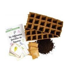 LES DIFFRENTES FAMILLES LEGUM