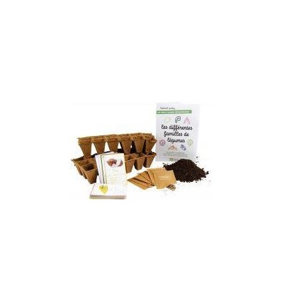 LES DIFFRENTES FAMILLES LEGUM