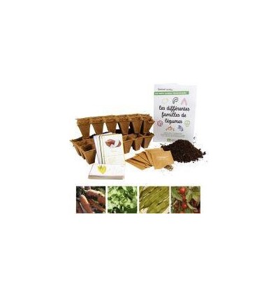 LES DIFFRENTES FAMILLES LEGUM