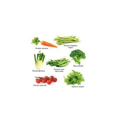 LES DIFFRENTES FAMILLES LEGUM