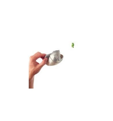 L ODYSSEE DES GRENOUILLES