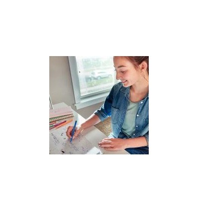 POCH 16 FEUTRES FLAIR CARNAVAL