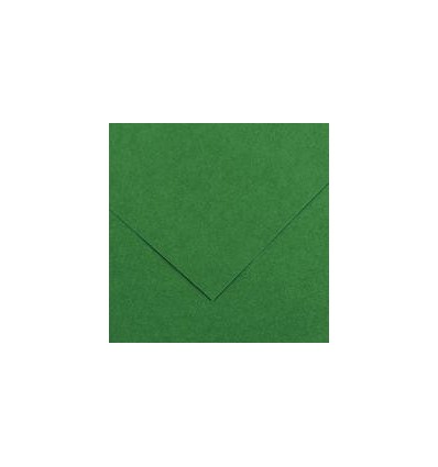 PQ10F COLORLINE 50X65 150G VMO