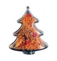 LOT 6X100G LICHEN COULEUR 2