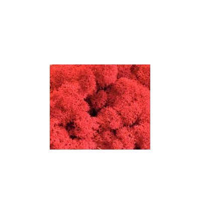 LOT 6X100G LICHEN COULEUR