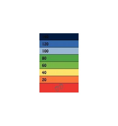 TAPIS VMAT 300X100 SAUT