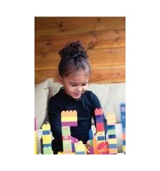 SAC 500 BRIQUES CONST BIOBUDDI