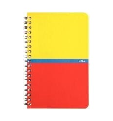 CARNET R.I  100P 11X17 5X5 70G