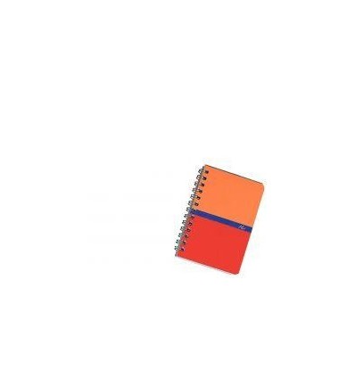 CARNET R.I  100P 11X17 5X5 70G