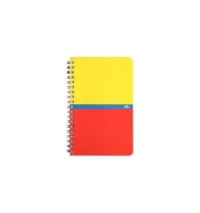 CARNET R.I  100P 11X17 5X5 70G