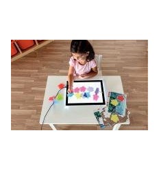 BTE 20TORTUES TRANS +9CARTES