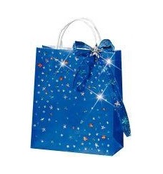 LOT 20SAC KRAFT COUL 18X21X8CM