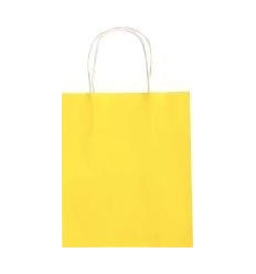 LOT 20SAC KRAFT COUL 18X21X8CM 2