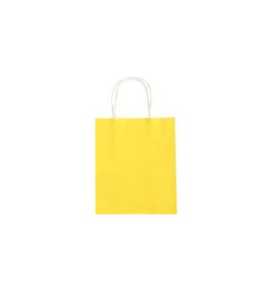 LOT 20SAC KRAFT COUL 18X21X8CM