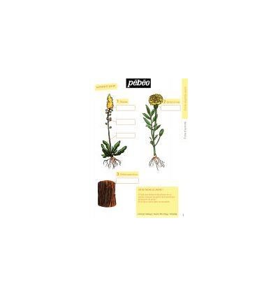 SET 5X45ML ENCRE VEGETALE PRIM