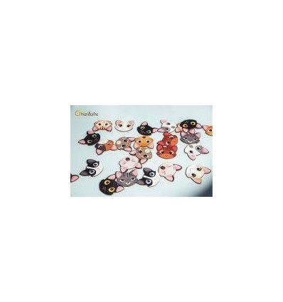 MEMO CHATS ET EXPRESSIONS