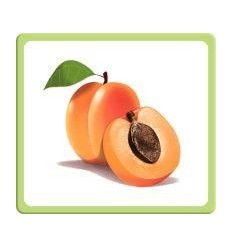 IMAGIER MULTILINGUE FRUITS 2