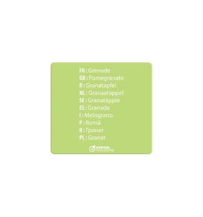 IMAGIER MULTILINGUE FRUITS