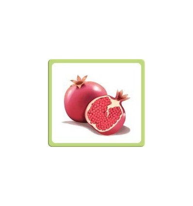 IMAGIER MULTILINGUE FRUITS